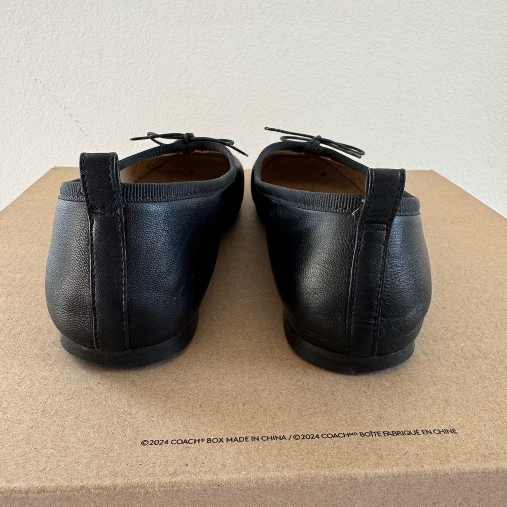 Everlane The Ballet Flats Size 8 - Picture 6 of 14
